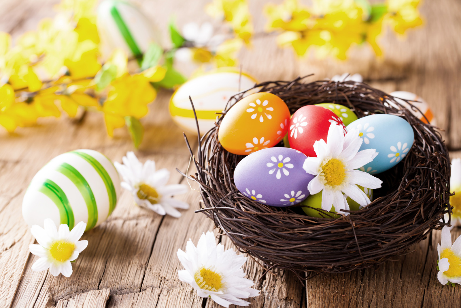 Perché Il Giorno Di Pasqua Cambia Ogni Anno Perché Pasqua cambia ogni anno - Risposte360