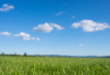 cielo azzurro